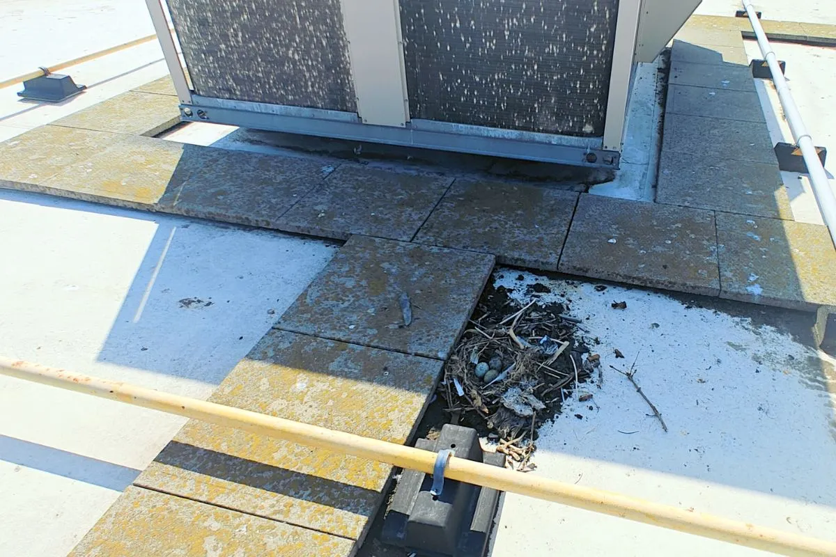 Structural Roof Damage Assessment - San Antonio Commercial Buildings